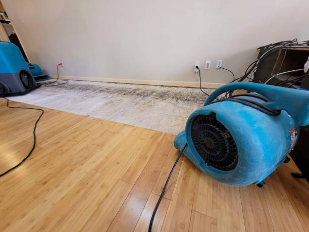 Professional Water Damage Repair technician working in Sutton, NE